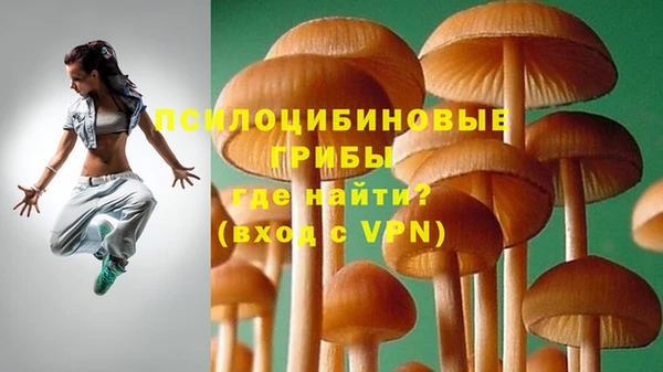 первитин Балахна
