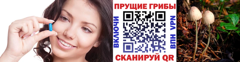 Псилоцибиновые грибы MAGIC MUSHROOMS  Купить  Алексин 